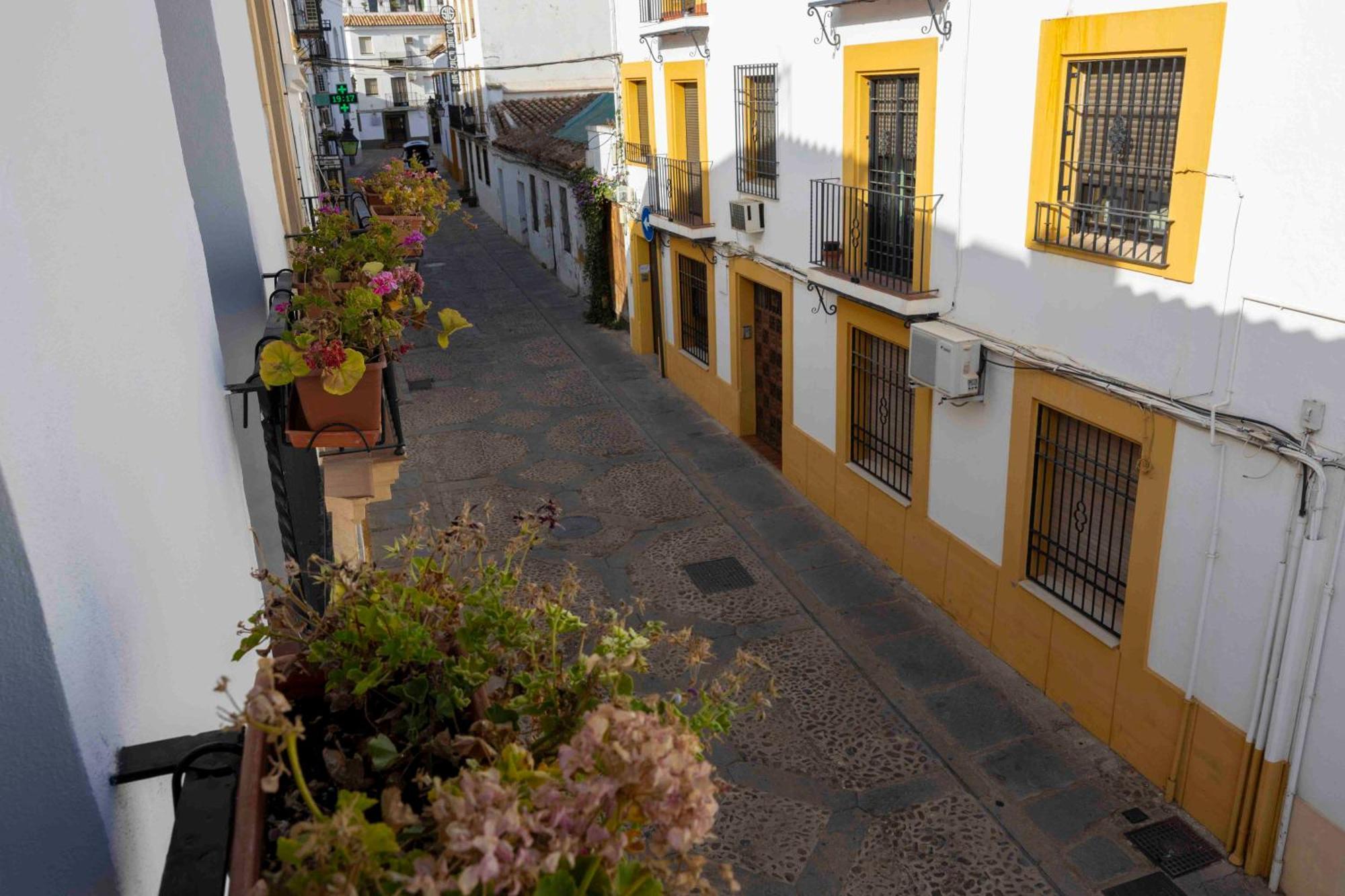 Apartment Mira San Basilio *