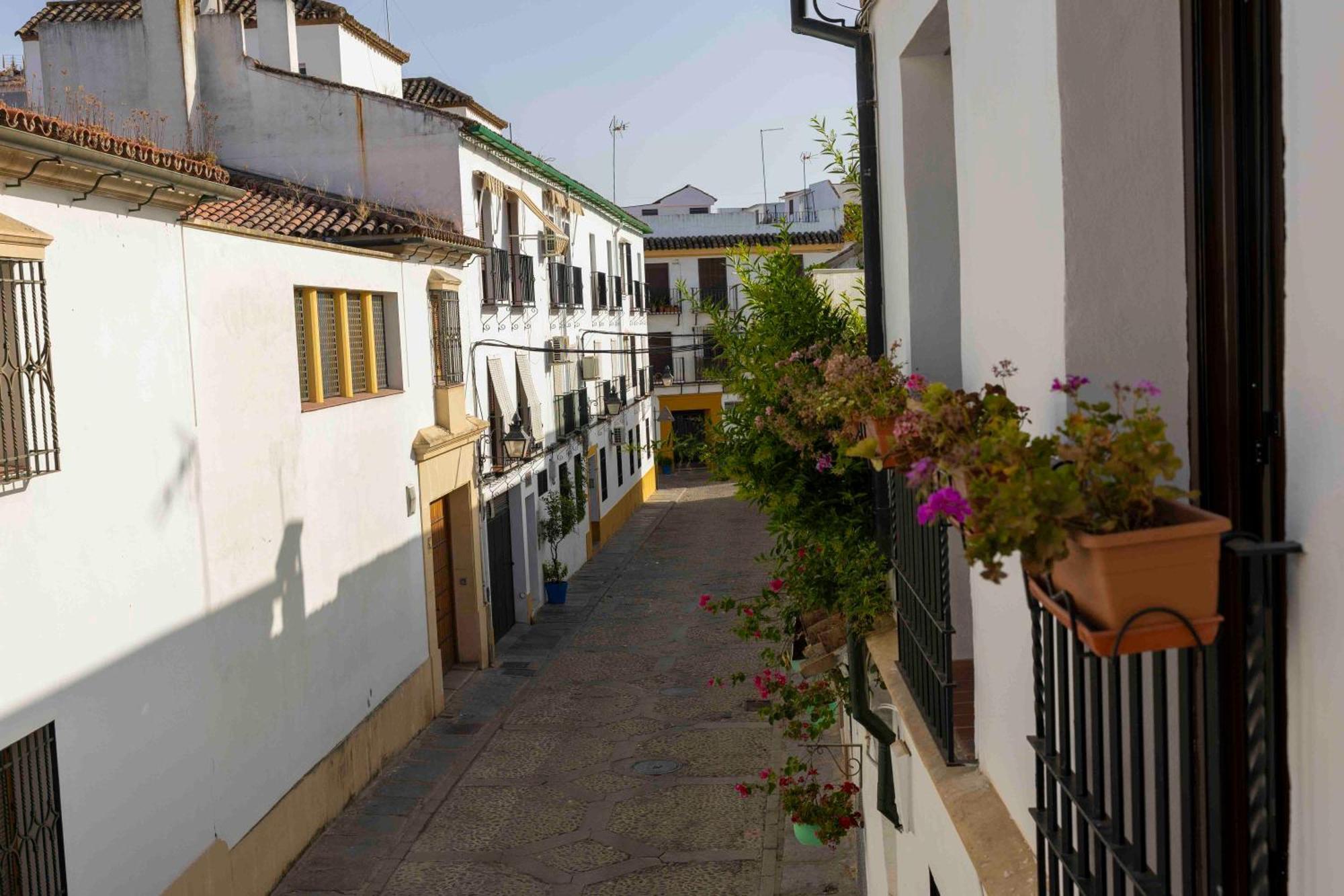 Mira San Basilio Apartment